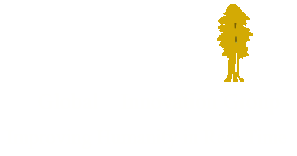 SEQUOIA GLOBAL INNOVATION GROUP Logo